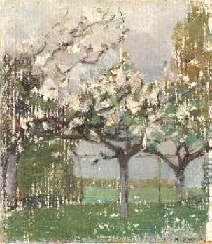 alberouno